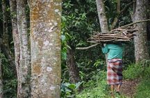 Tetebatu Cycling Tour: Ricefields, Monkey Forest, & Bamboo Craft