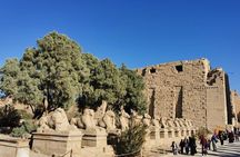  Half Day Luxor East Bank Karnak and Luxor Temples