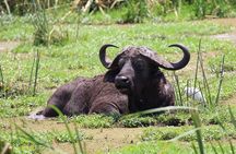 1 Day: Arusha National Park