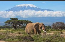 Day Tour - Amboseli National Park From Nairobi