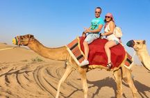 Dubai Morning Private 4x4 Desert Safari Sand Boarding Camel Ride