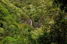 Private Full-Day Waterfall Beach and Jungle Tour of Maui