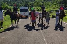  Horseback Riding & Swim in the ocean, Bluehole Falls [ocho rios ]