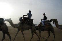 3 hours Camel Ride in Essaouira with Dinner and Overnight in Berber Camp