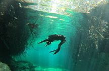 Freediving Discovery day in Tulum!