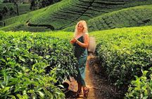 Sri Lanka 7 day’s budget tour package 