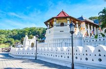 Sri Lanka Tour/6 Days+Friendly Chauffeur +vehicle+accommodation H/B basis