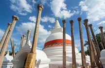 Sri Lanka Private Tour 8 days-Driver/vehicle/accommodation H/B