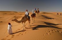 Dubai Red Dunes Desert Morning Adventure