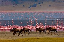 3-Day Private Budget Safari to Serengeti Np and Ngorongoro Crater