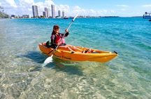2.5hr Gold Coast Kayaking & snorkelling tour