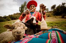 5-Day City Package Cusco, Sacred Valley & Machu Picchu