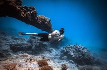 Shipwreck tour