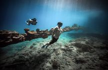 Shipwreck tour