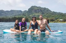 Shipwreck tour