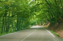 Hiking Tour to Lagodekhi National Park from Tbilisi