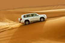 Dubai Evening4x4Desert Safari BBQ Dinner,4 Live Shows,Camel Ride 