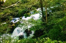 3 Days/2 Nights Lechkhumi Region Tour Package in Georgia