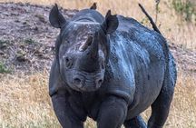 7-Day Private midrange Tour in Arusha with Airport Pickup