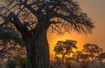 7-Day Private midrange Tour in Arusha with Airport Pickup