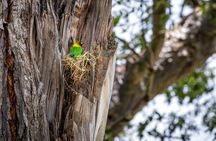 1 Day: Arusha National Park