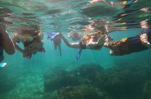 Coral Reef Snorkel Adventure with Photos and Videos