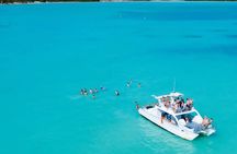 Excursion to Isla Saona in Catamaran with Lunch