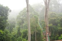2-Night Danum Valley Borneo Rainforest Lodge Hiking and Wildlife Adventure