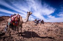 3-Day Expedition in the Sinai Desert Climb Seek and Find