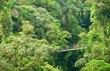 Arenal City Pass® Volcano, Waterfall, Bridges (SelfGuide)