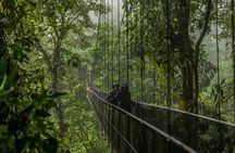 Arenal City Pass® Volcano, Waterfall, Bridges (SelfGuide)