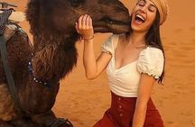 4 days 3 nights desert tour from Marrakech to Merzouga