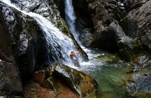 Pance Waterfalls: Hike to discover the biodiversity of the valley