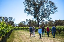 Upper Reach Winery: Swan Valley Winery and Vineyard Tour