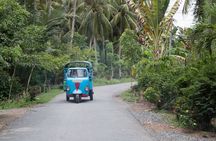 Private Mekong Delta Hideway Tour from Ho Chi Minh City
