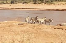 5 Days Safari to Samburu N/R Ol Pejeta Conservancy Hells Gate N/P, Lake Naivasha