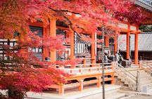 Private Full-Day Kamakura-Enoshima Tour with Bilingual Driver