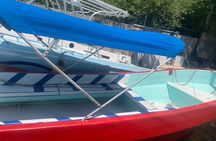 Private Snorkel with Turtle at Akumal