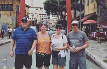 São Paulo Private Full Day City Tour (8h)