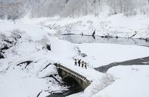  Kinshu Lake Private Snow Trekking Activity