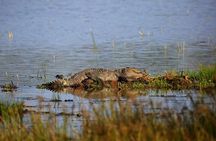Full Day Wilpaththu National Park Safari (All Inclusive)