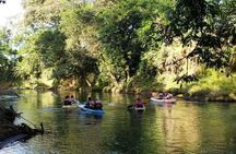 Wildlife Safari Experience by Kayak