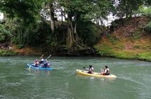 Wildlife Safari Experience by Kayak
