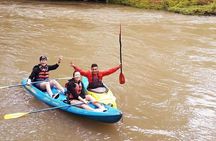 Wildlife Safari Experience by Kayak