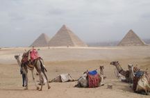 Cairo private day by car including lunch minimum 2 persons