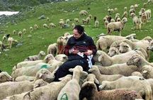 Kashmir Great Lakes Trek