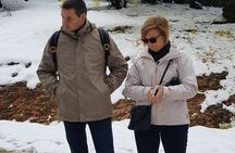 Private Day Trip to The Atlas Mountains from Fez