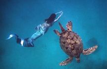 Moana's Waikīkī Sunrise Snorkel Experience on Nalu