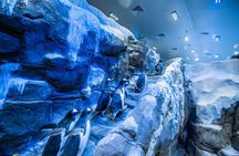 Dubai Aquarium with Various Animal Encounter and Access Options