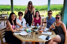 Semi-Private, Modified Hop-On Hop-Off Wine Tasting Tour from Cambria &San Simeon
